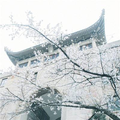 奇幻神域游戏