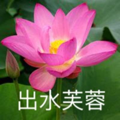 墓园派对内购破解版下载